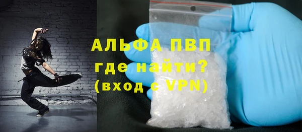 стаф Алексин