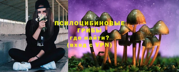 спайс Абаза